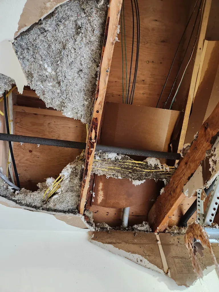 Collapsed ceiling drywall and insulation exposing framing, wiring and a burst water pipe