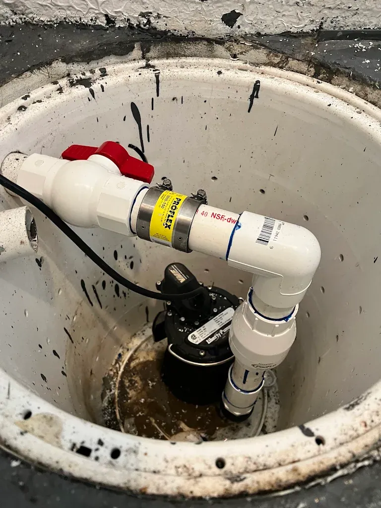 Liberty sump pump in a basin with PVC discharge, check valve and red-handled ball valve — Sump Pump Installation & Repair for Belfair homes